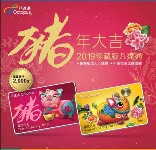 Travel cards with a Year of the Pig design!