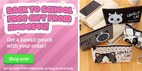 You can get one of these adorable kitty pouches!